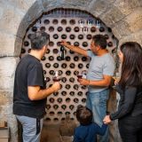 UN PASEO ENTRE VIÑEDOS, VISITA A LA BODEGA Y CATA